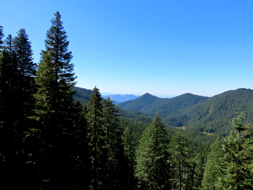 Mt. Rainier NP in Washington