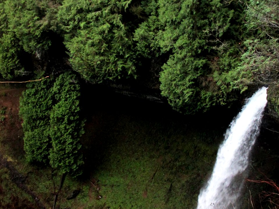 North Falls at Silver Falls SP in Oregon
