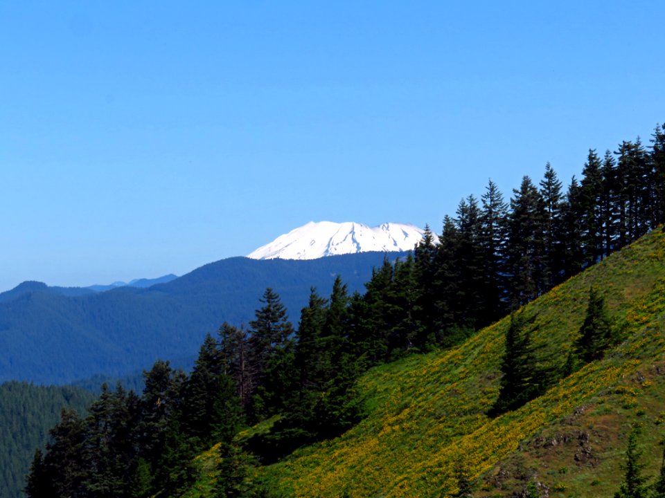 Mt. St. Helens at Dog Mountain Trail in Washington