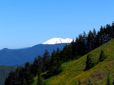 Mt. St. Helens at Dog Mountain Trail in Washington photo