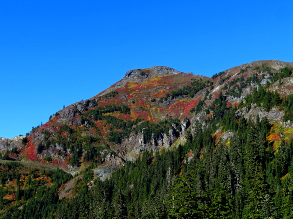 Autumn at Yellow Aster Butte in WA