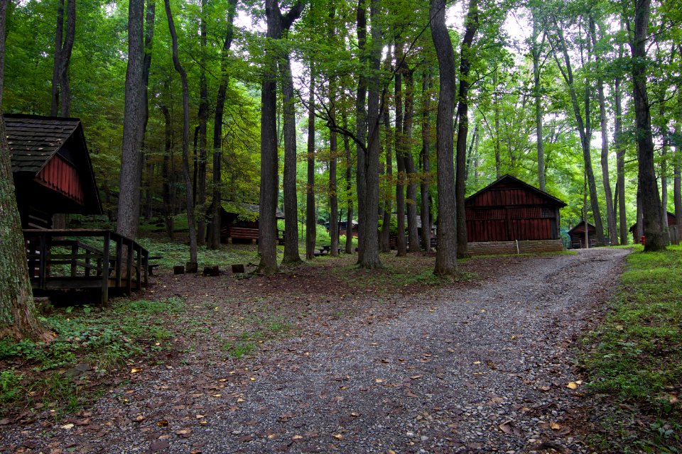 Cabins
