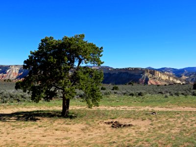 Cottonwood Canyon Road in Utah