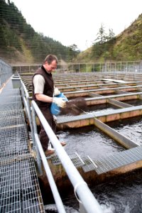 Little White Salmon Fish Hatchery