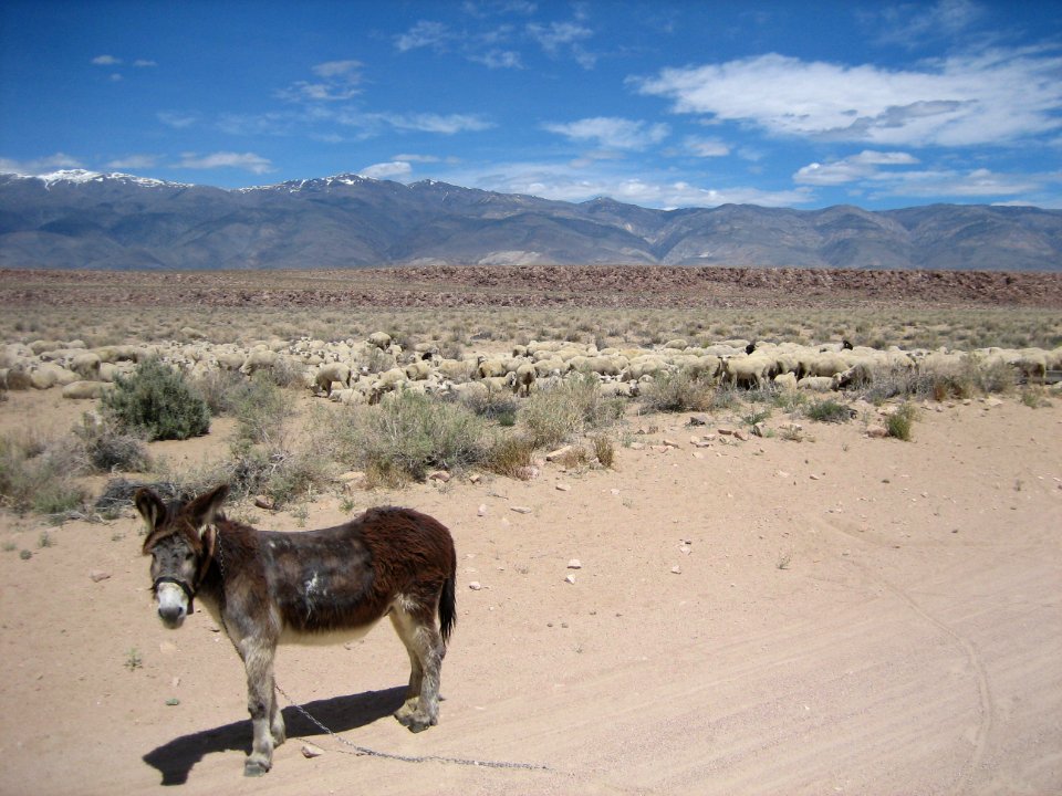 Volcanic Tablelands photo