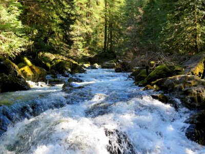 Opal Creek Wilderness in Oregon photo