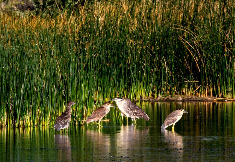 Blanca Wetlands Recreation Area
