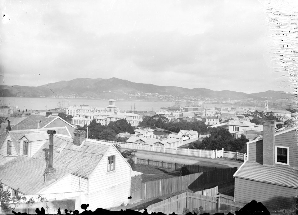 3; Wellington from Hill Street - Circa 1890