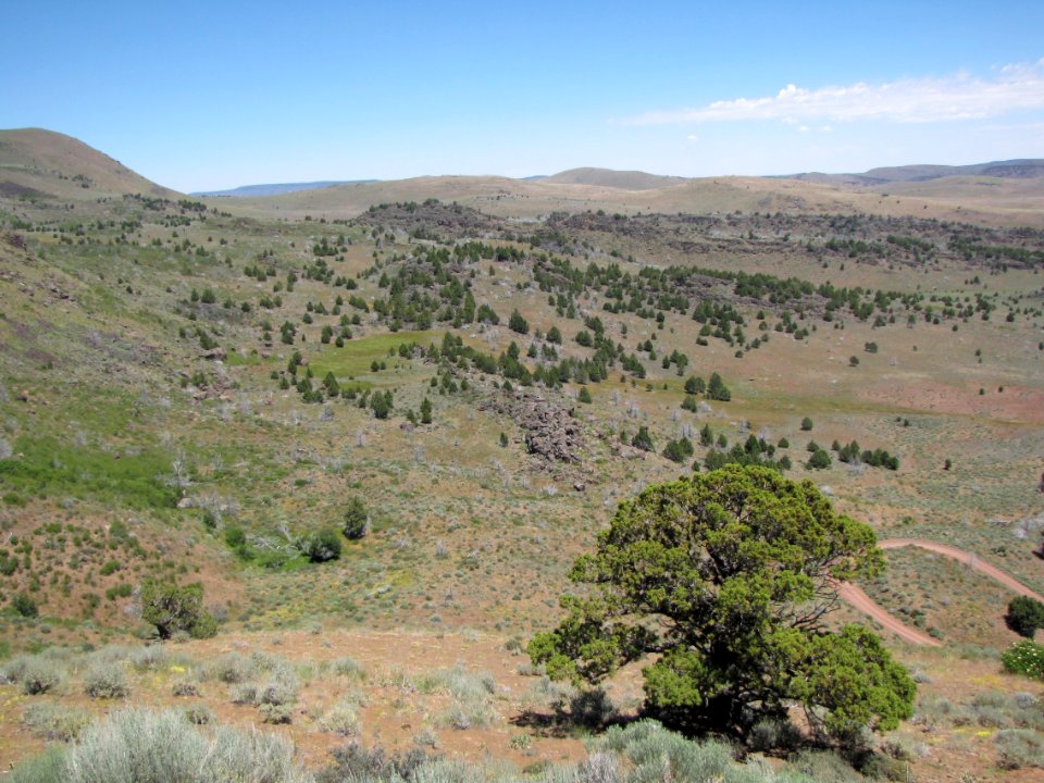 Surprise Valley Barrel Springs Back-Country Byway