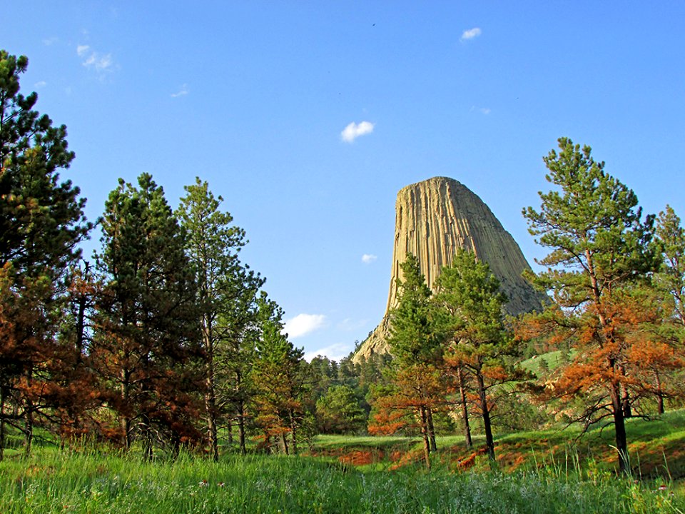 Devils Tower NM in WY