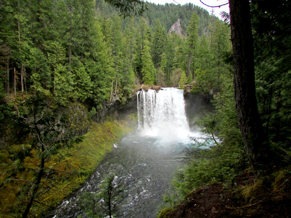 Koosah Falls at McKenzie River in Central OR