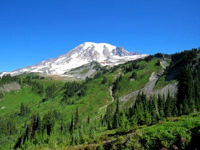 Paradise Skyline Trail at Mt. Rainier NP in WA photo