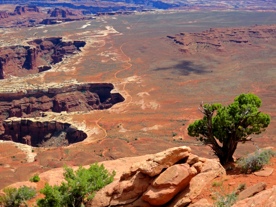 Canyonlands NP in UT
