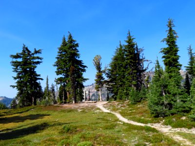 Goat Rocks Wilderness in WA
