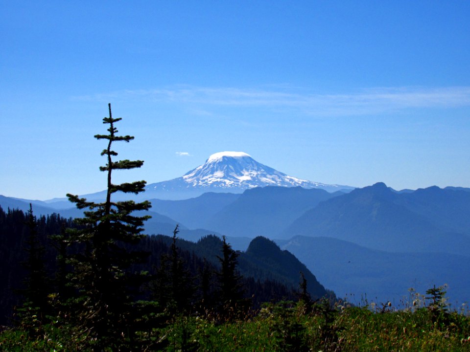 Mt. Adams at Tatoosh Wilderness  in WA