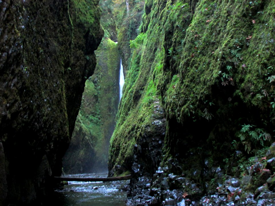 Oneonta Gorge at Columbia River Gorge in OR