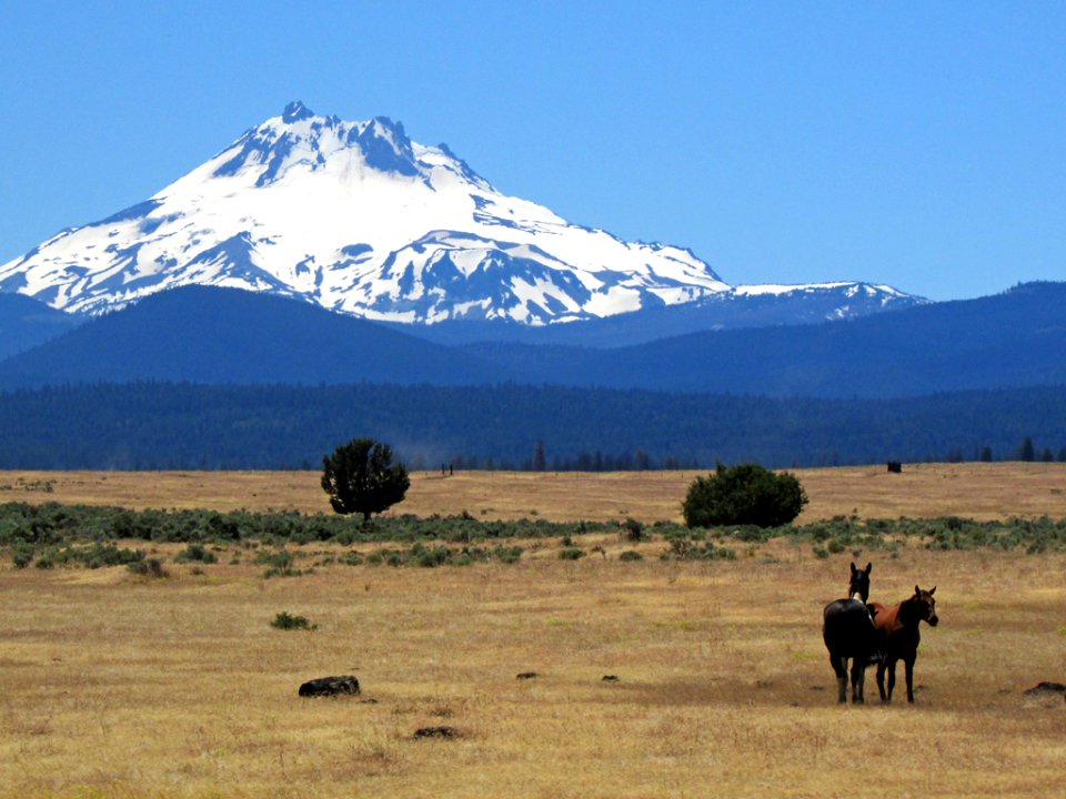 Mt. Jefferson in Central OR