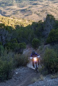 small-Bocco Mtn OHV CO-1390