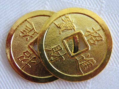 Chinese new year fortune prosperity