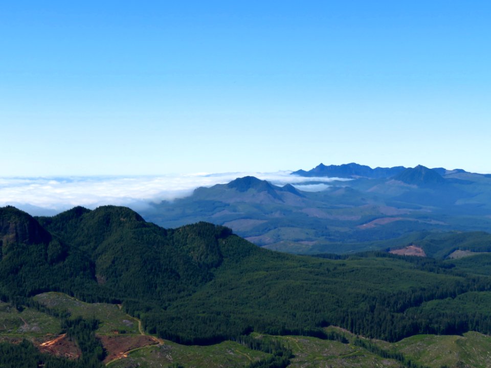 Saddle Mountain Trail in OR