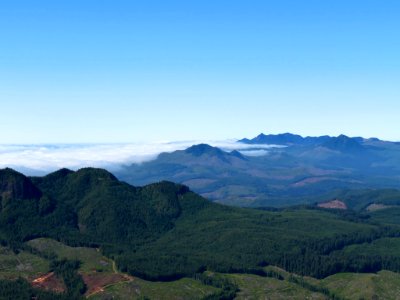 Saddle Mountain Trail in OR