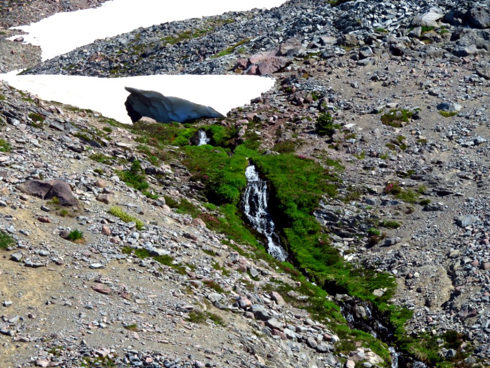 Skyline Trail at Mt. Rainier NP in WA