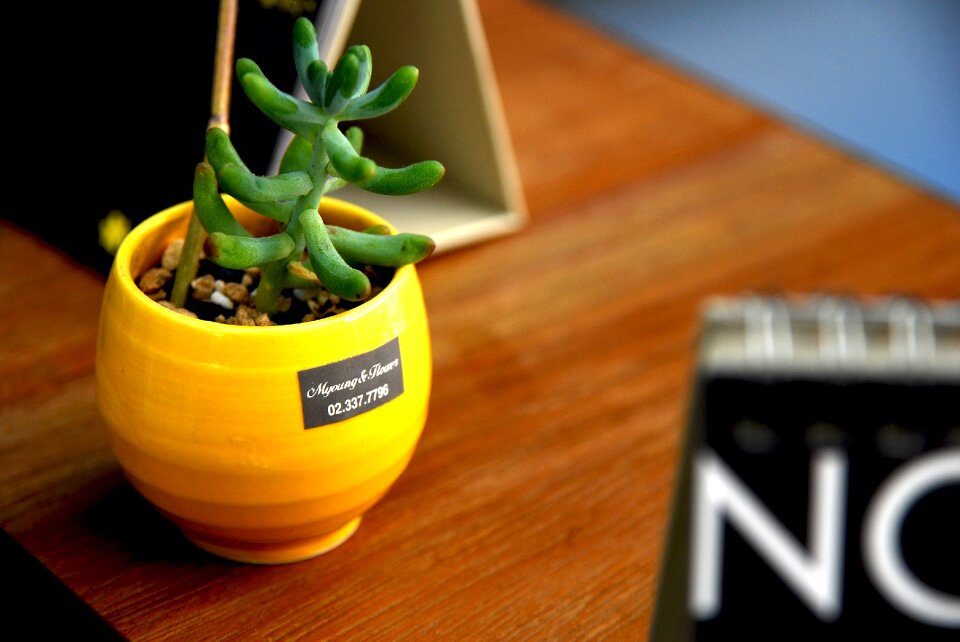 Yellow green desk