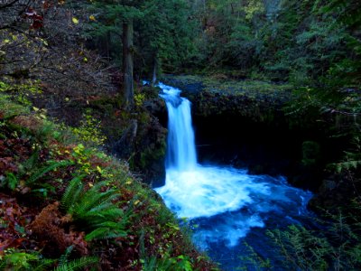 Spirit Falls Trail on Little White Salmon River in WA photo