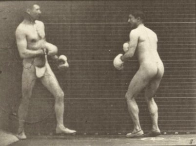 Two men in thong underwear boxing with gloves (rbm-QP301M8-1887-335a~8)