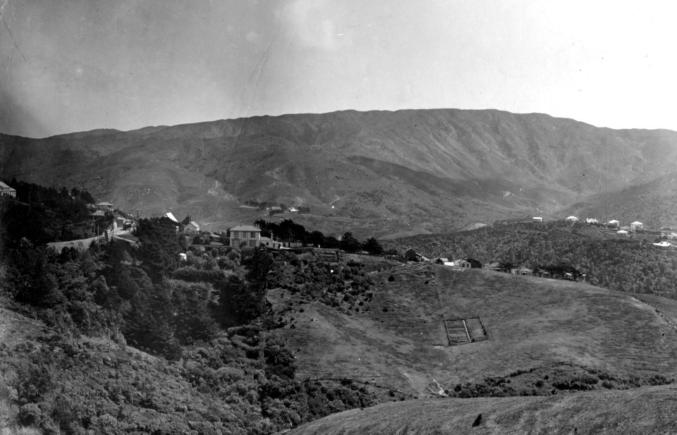 132; Elevated view of large area of undeveloped land, Wadestown - 1911
