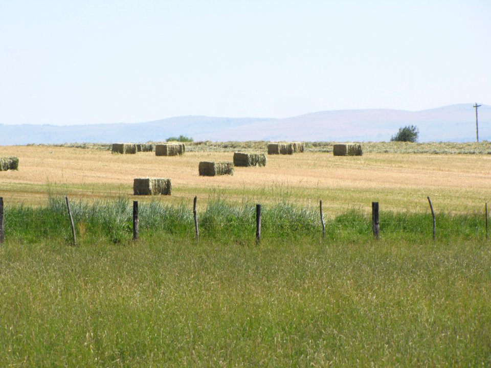 Surprise Valley Barrel Springs Back-Country Byway