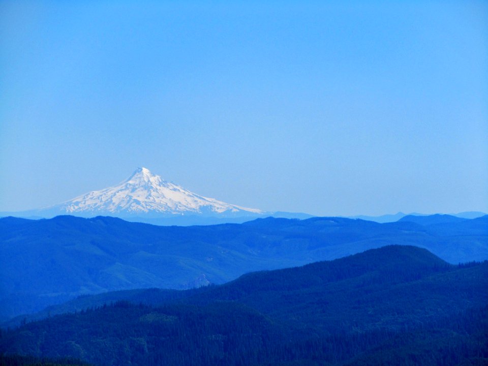 View of Mt. Hood from Windy Ridge in Washington