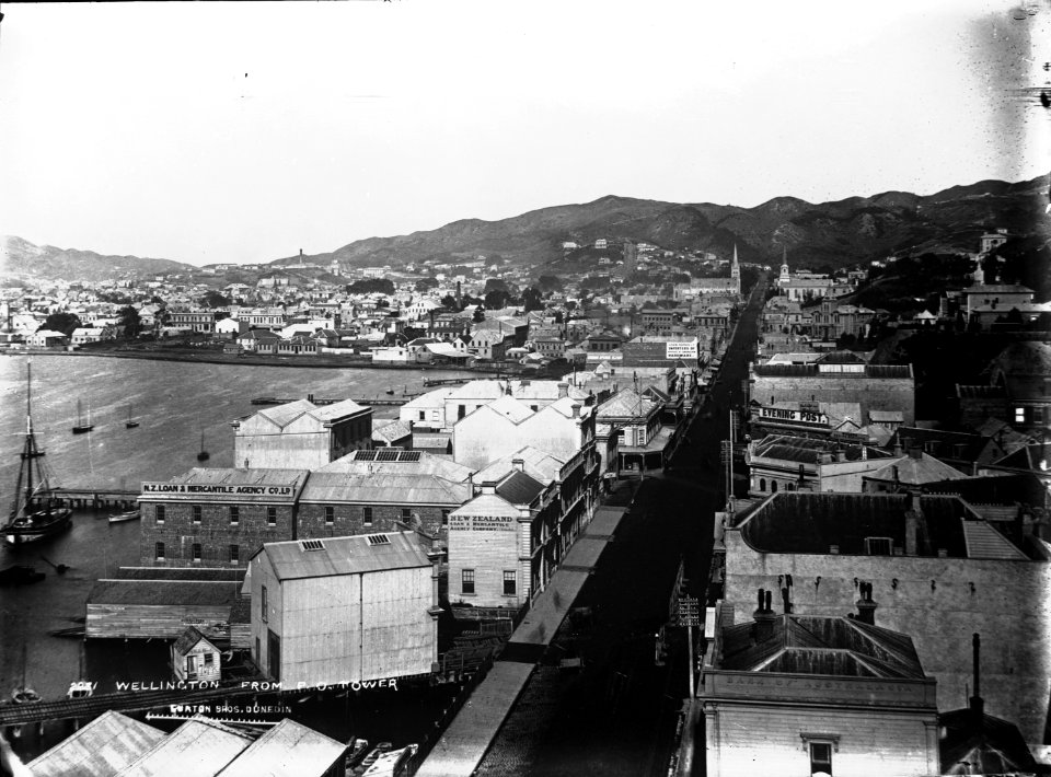 66; Willis Street, from Post Office Tower - Circa 1880 - Glass Plate Negative