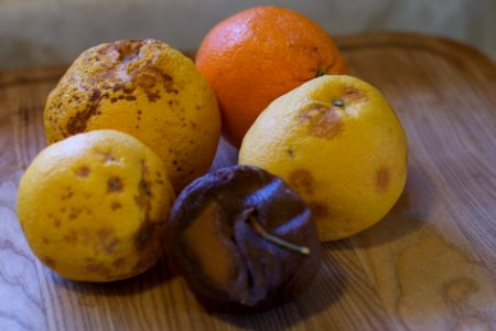 Oops, I Gotta Keep an Eye on that Fruit Drawer