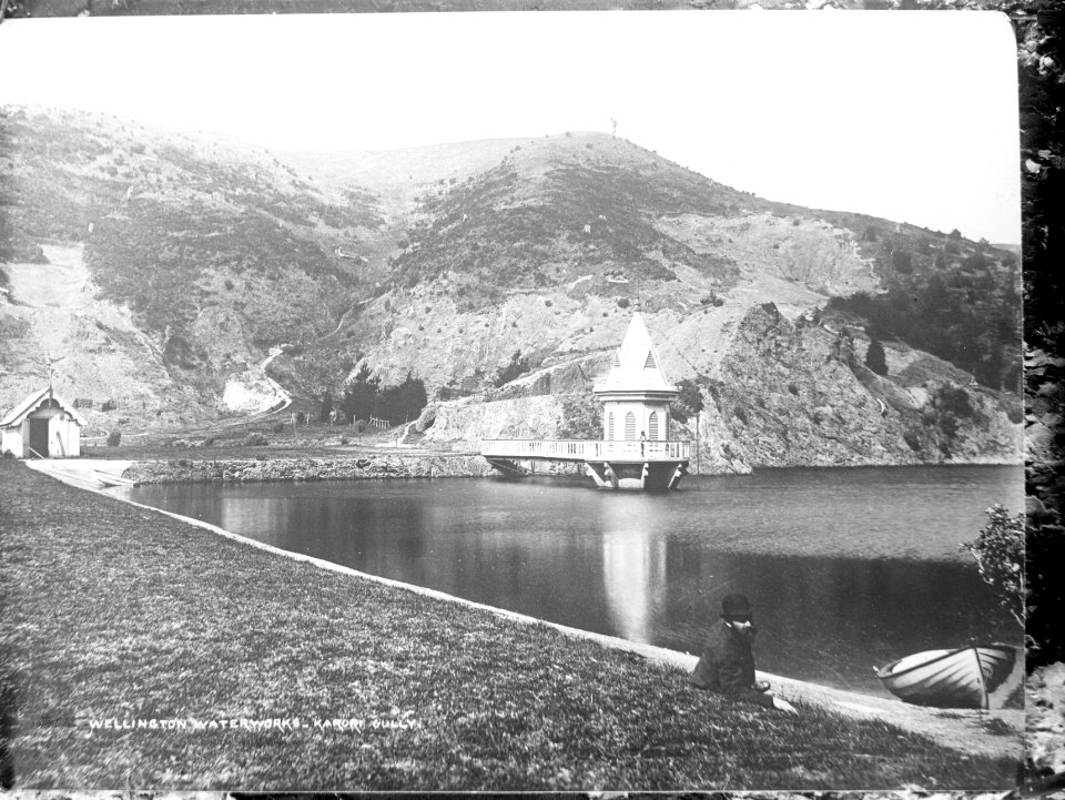20; Wellington Waterworks, Karori Gully - Circa 1890 - Glass Plate Negative