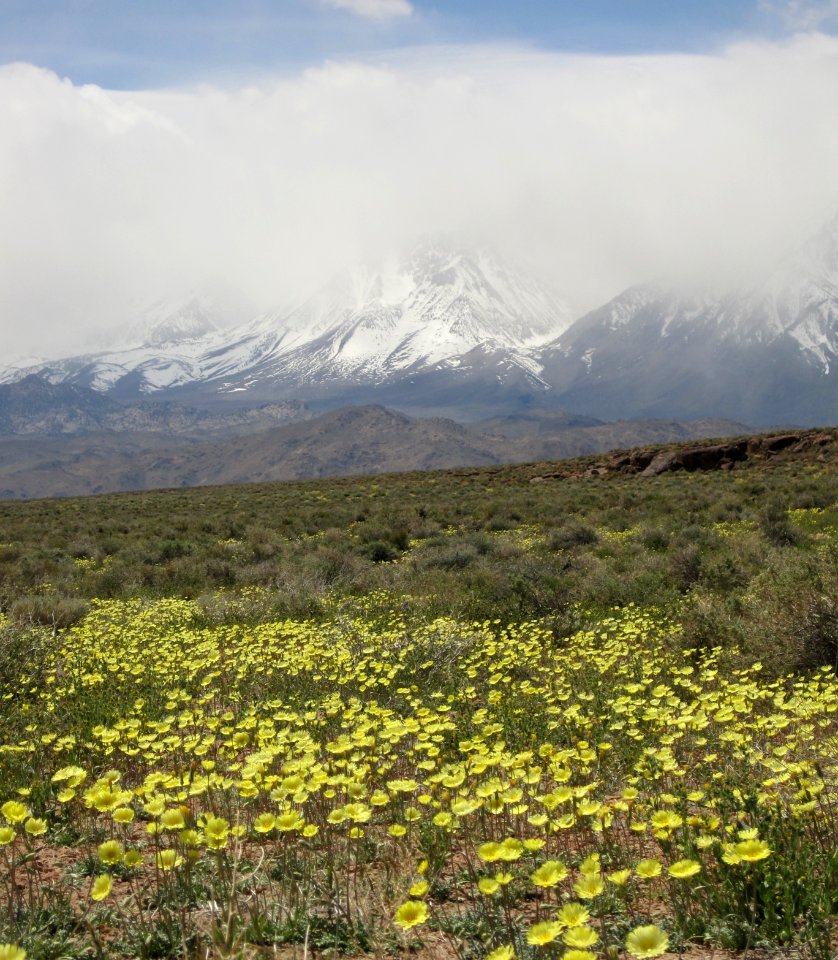 Volcanic Tablelands