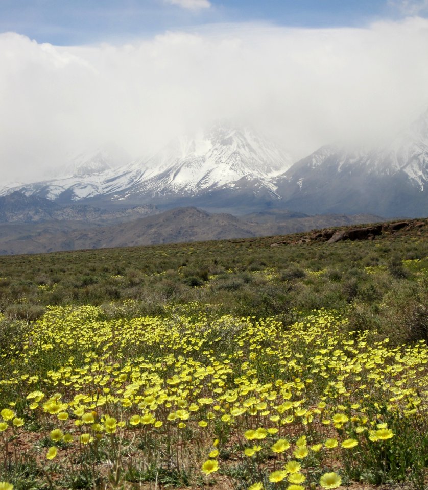 Volcanic Tablelands photo