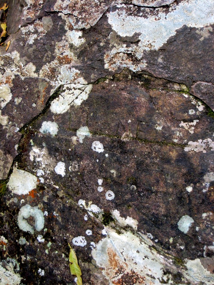 Rocky Splotches