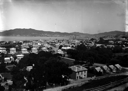 53; Thorndon, from Grant Road - Circa 1880