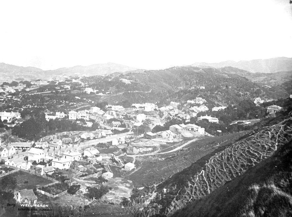 43; Elevated view ofTinakori Road - Circa 1900 - Glass Plate Negative