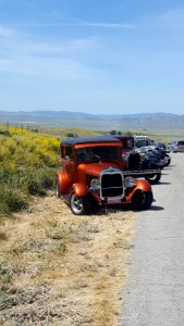 Bakersfield Model A Club Wildflower Tour by Candy Martin