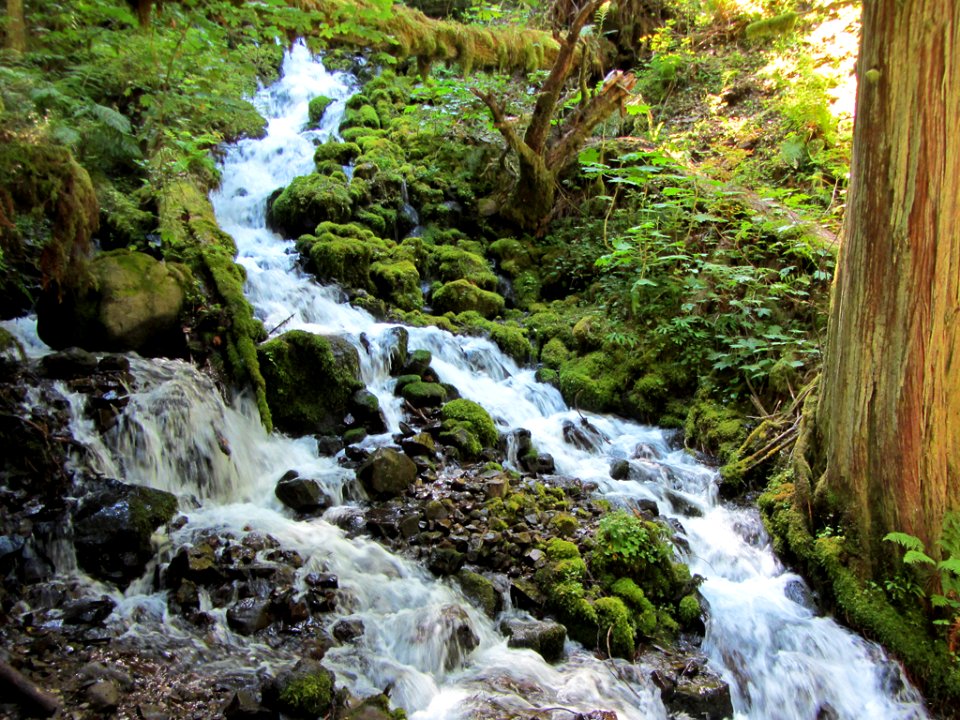Waterfall at Columbia River Gorge in OR