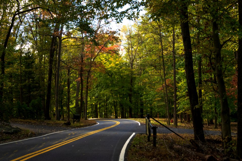 Road To Entrance