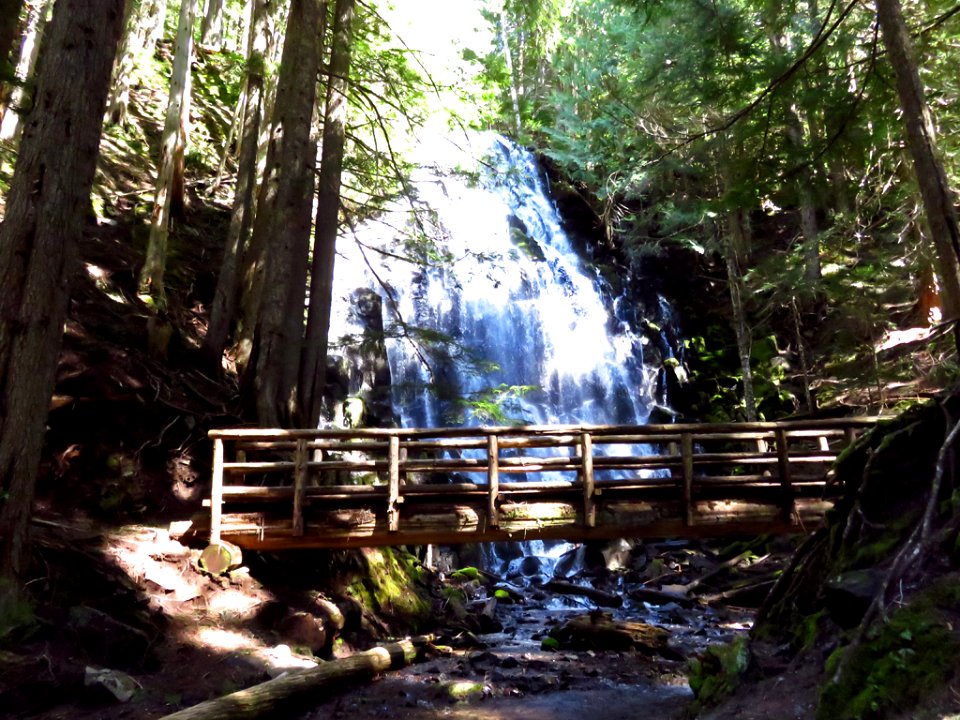Ramona Falls Hike at Mt. Hood Wilderness in Oregon