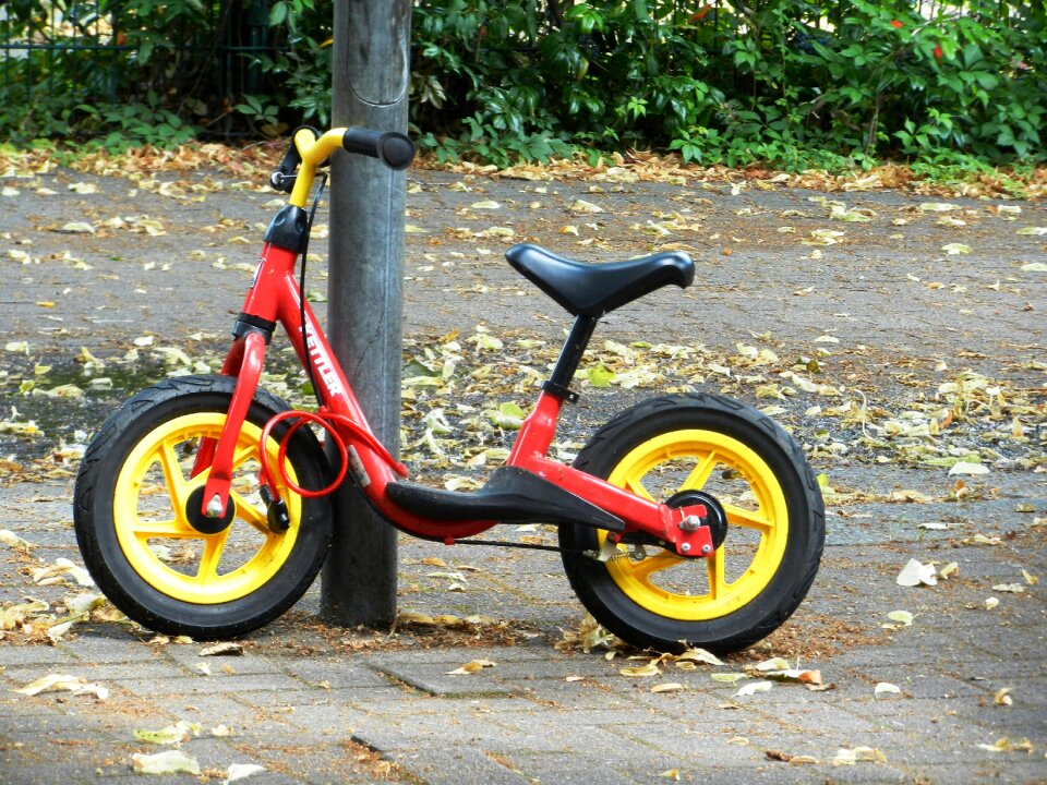 Wheel by bike spokes