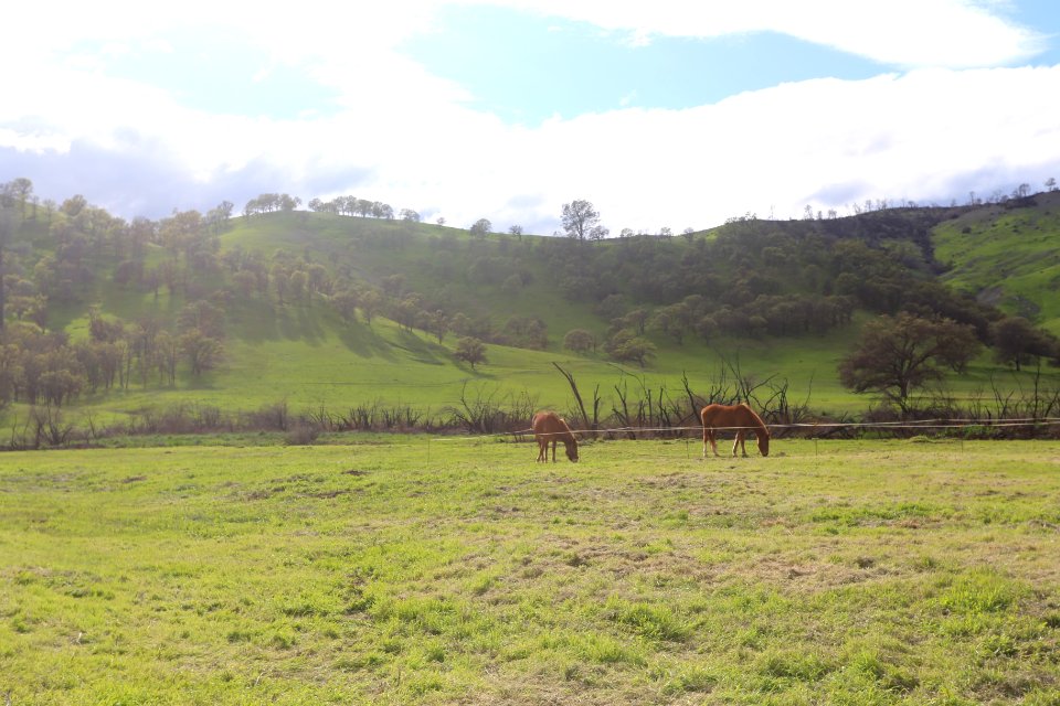 Berryessa Snow Mountain National Monument Dedication Celebration