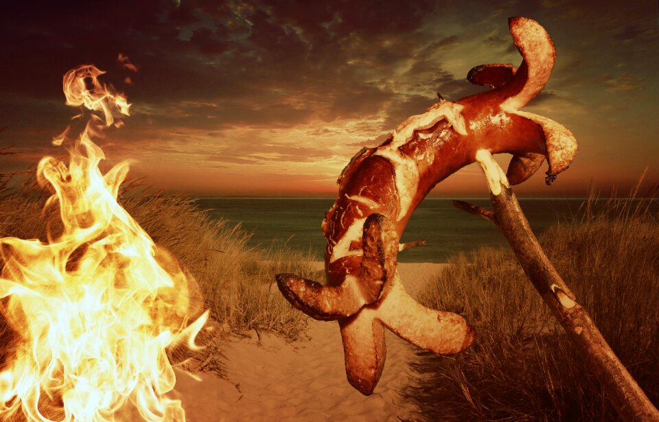 Campfire fire beach