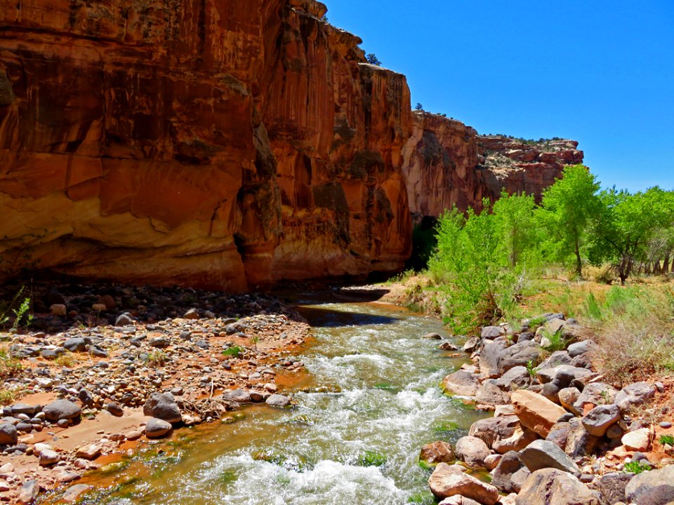 Fremont River at Capitol Reef NP in Utah