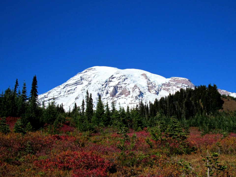 Autumn at Skyline Trail at Mt. Rainier NP in WA