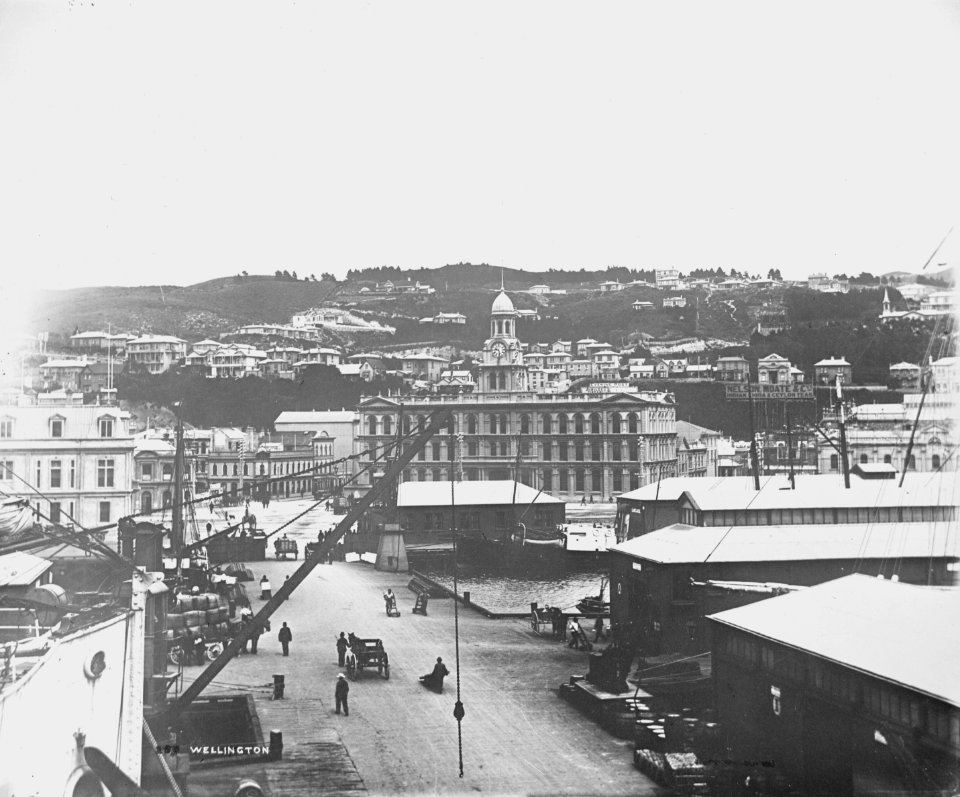 55; Wellington from Queens Wharf - Circa 1900 - Glass Plate Negative